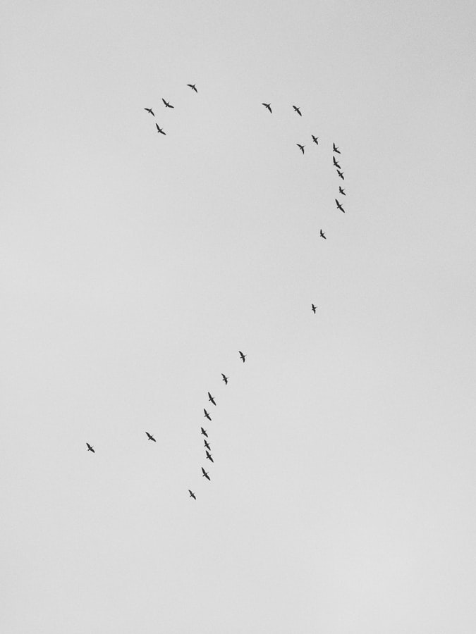 Las buenas preguntas